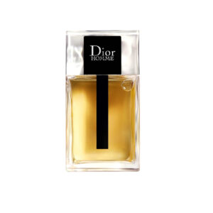 CHRISTIAN DIOR HOMME EDT NEW 100ML