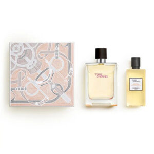 HERMES TERRE D HERMES EDT 100ML 2 PCS
