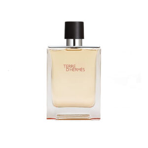 HERMÈS TERRE D'HERMÈS EDT 100ML