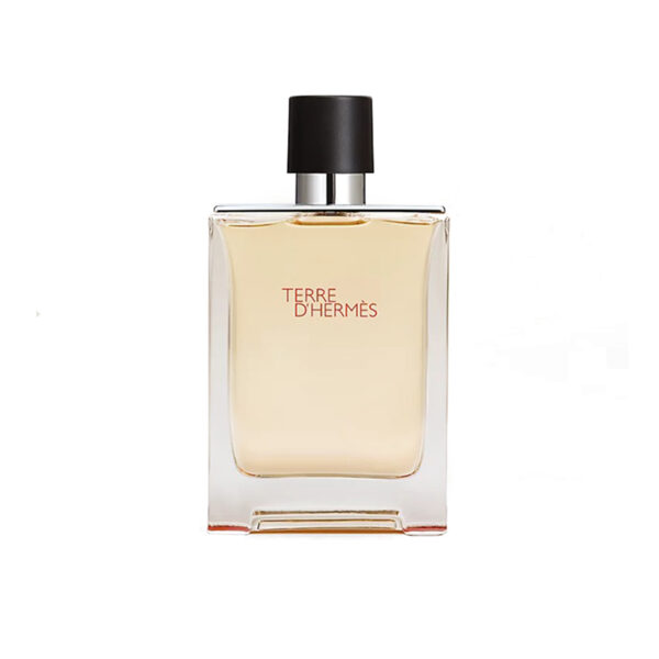 HERMÈS TERRE D'HERMÈS EDT 100ML